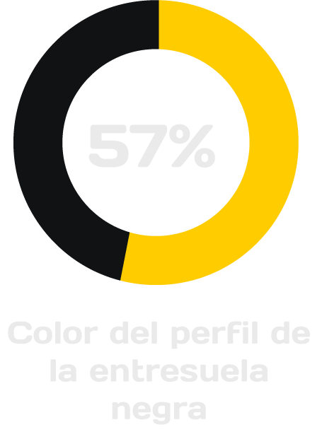 57% color del perfil de la entresuela negra